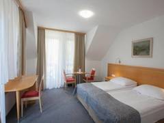 Zimmerbild 6