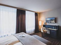 Zimmerbild 15