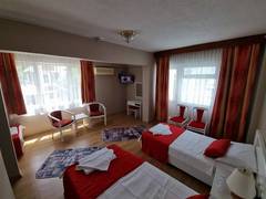 Zimmerbild 11