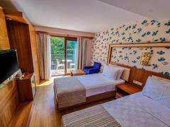 Zimmerbild 9