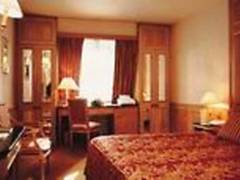 Zimmerbild 10