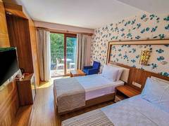 Zimmerbild 12