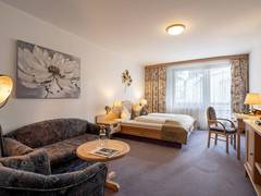 Zimmerbild 31