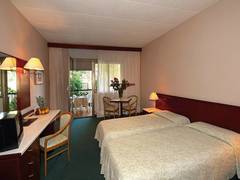 Zimmerbild 11