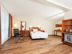 Zimmerbild 13