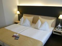 Zimmerbild 12