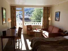 Zimmerbild 13