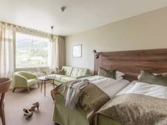 Zimmerbild 11