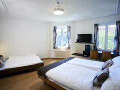 Zimmerbild 46