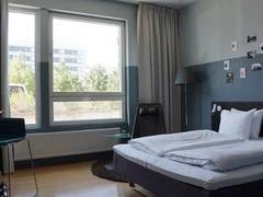 Zimmerbild 8