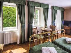 Zimmerbild 36
