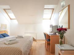 Zimmerbild 11