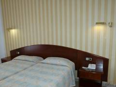 Zimmerbild 11