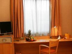 Zimmerbild 15