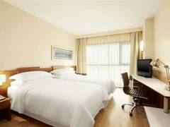 Zimmerbild 21