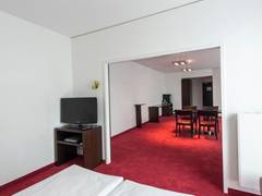 Zimmerbild 42