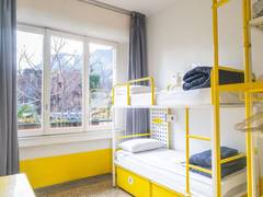 Zimmerbild 10