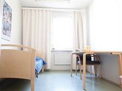 Zimmerbild 17