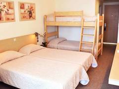 Zimmerbild 2
