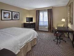 Zimmerbild 14
