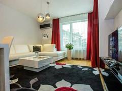 Zimmerbild 11