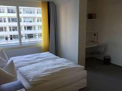 Zimmerbild 9