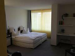 Zimmerbild 6