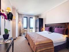 Zimmerbild 9
