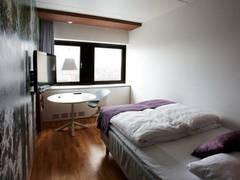 Zimmerbild 21