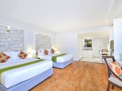 Zimmerbild 15