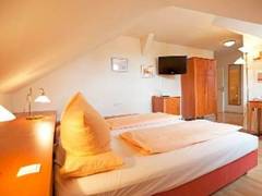 Zimmerbild 8
