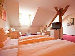 Zimmerbild 12