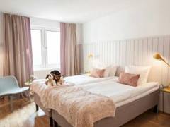 Zimmerbild 27