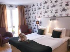 Zimmerbild 29