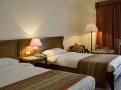 Zimmerbild 18