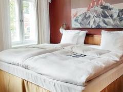 Zimmerbild 23