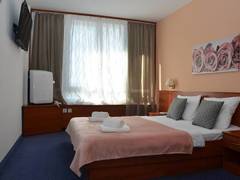 Zimmerbild 27