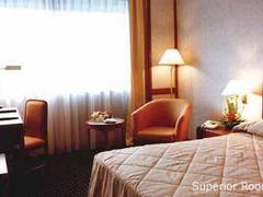 Zimmerbild 12