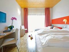 Zimmerbild 12