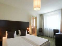 Zimmerbild 29