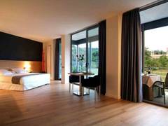 Zimmerbild 11