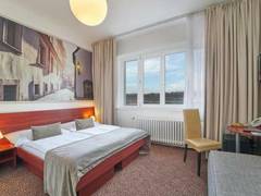 Zimmerbild 13