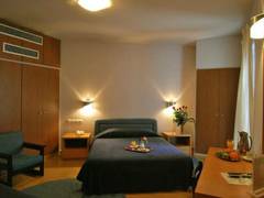 Zimmerbild 9