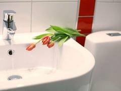 Zimmerbild 13