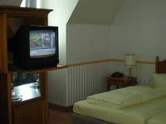 Zimmerbild 18