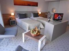 Zimmerbild 13