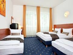 Zimmerbild 27