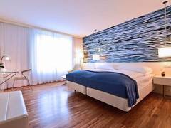 Zimmerbild 21