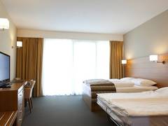 Zimmerbild 22