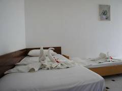 Zimmerbild 11
